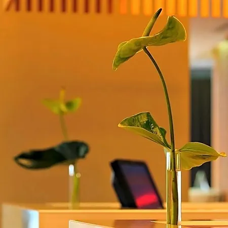 Hotel Bh Conference & Airport 5*